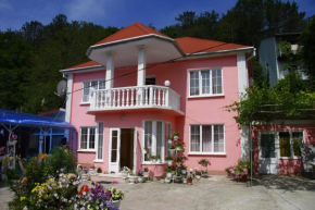 Guest house on Vesennyaya 51